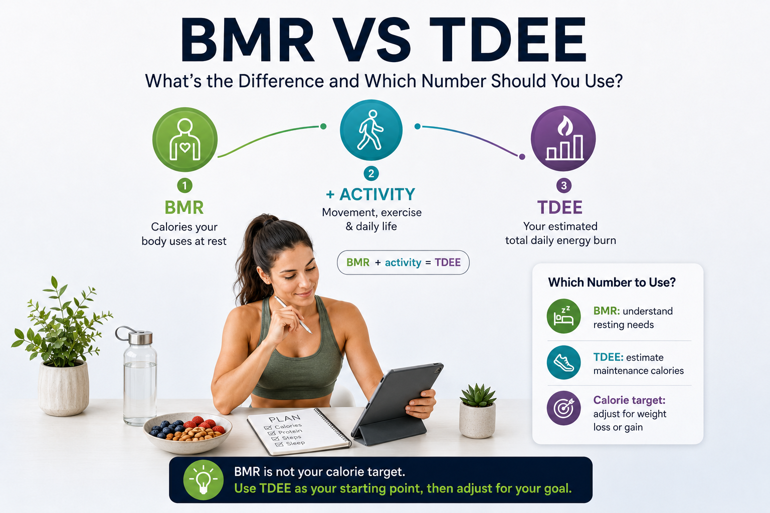 BMR plus activity equals TDEE — illustrated breakdown of resting and total daily energy expenditure.
