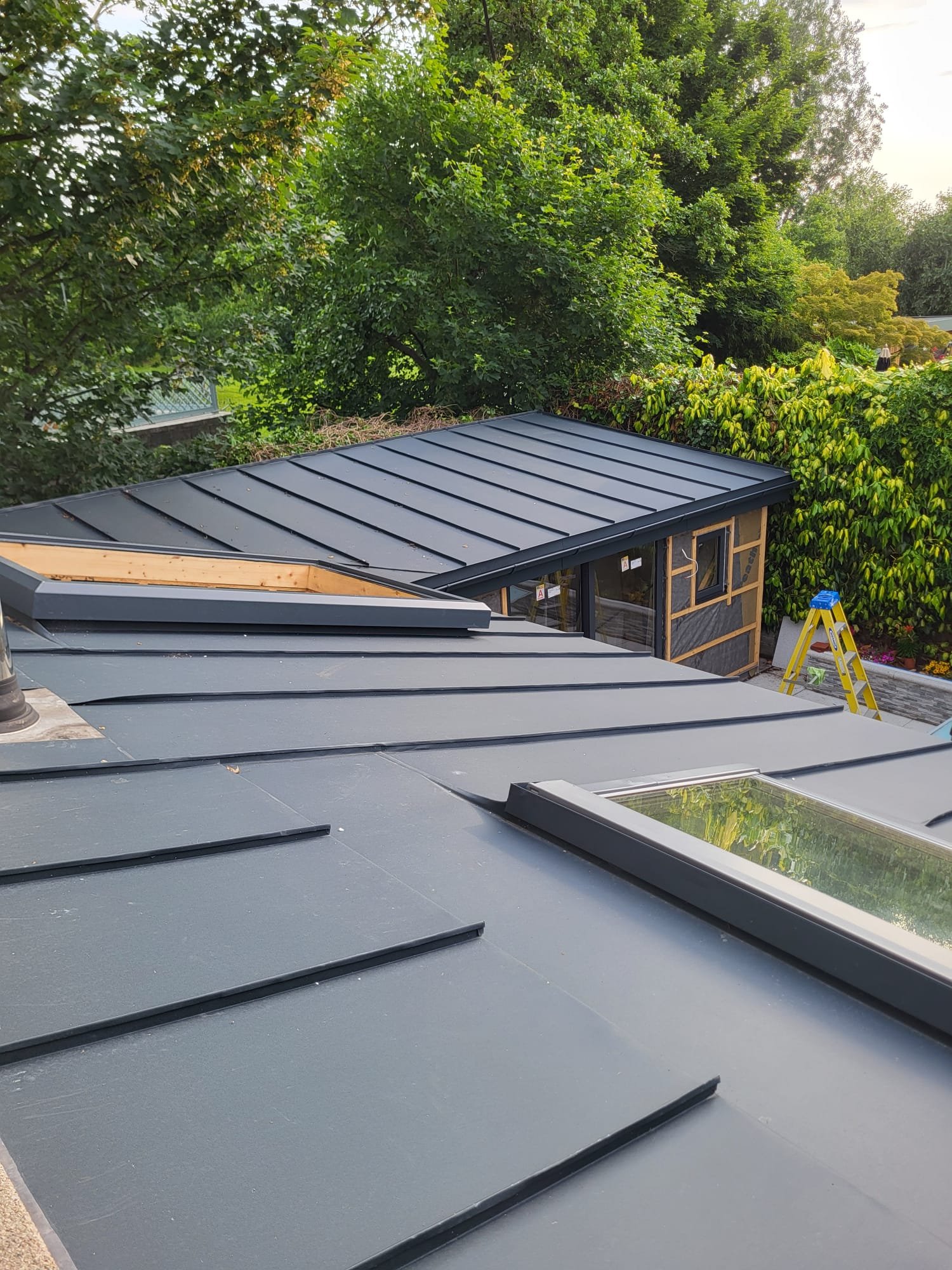 Modern patio with black metal roof structure and garden landscaping