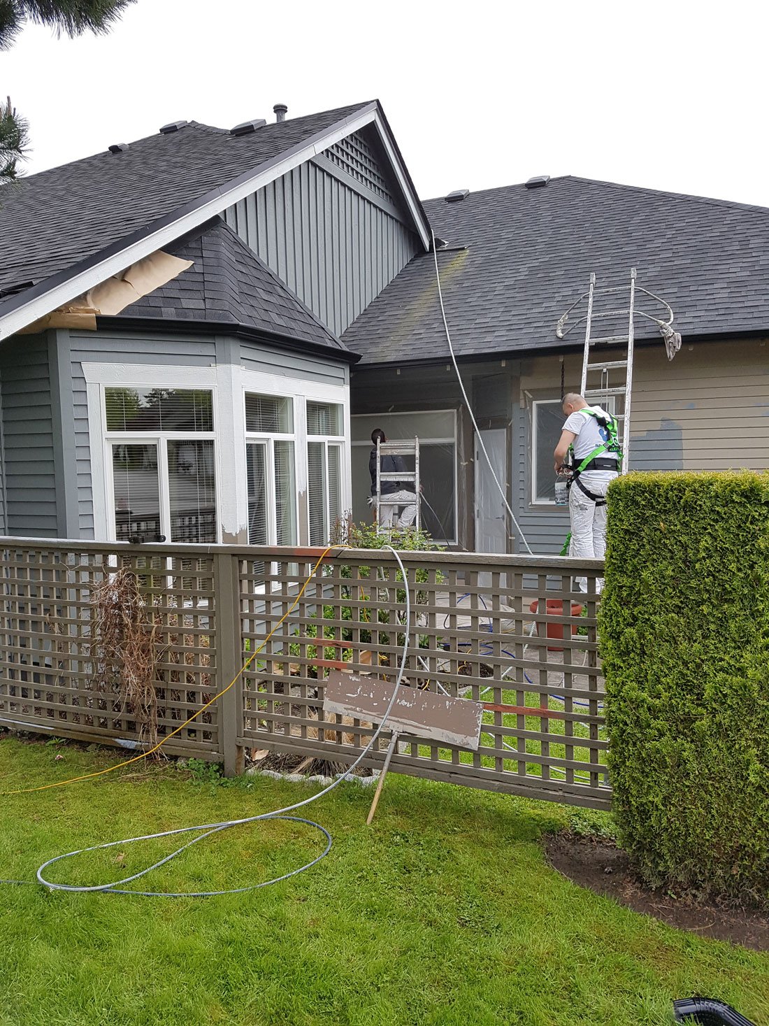 Art Vision Painting photo 5