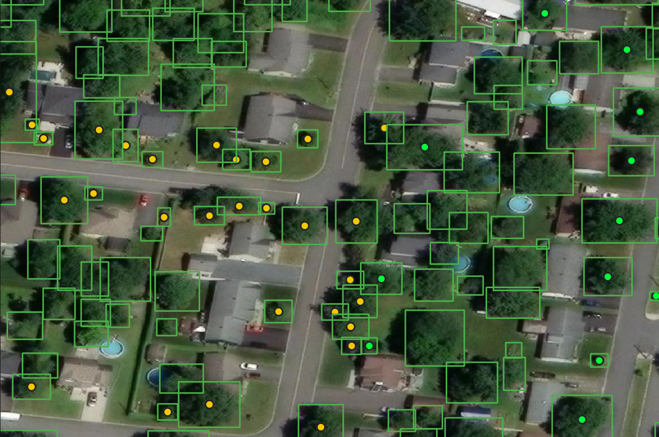 AI-assisted tree detection map for Farnham urban perimeter