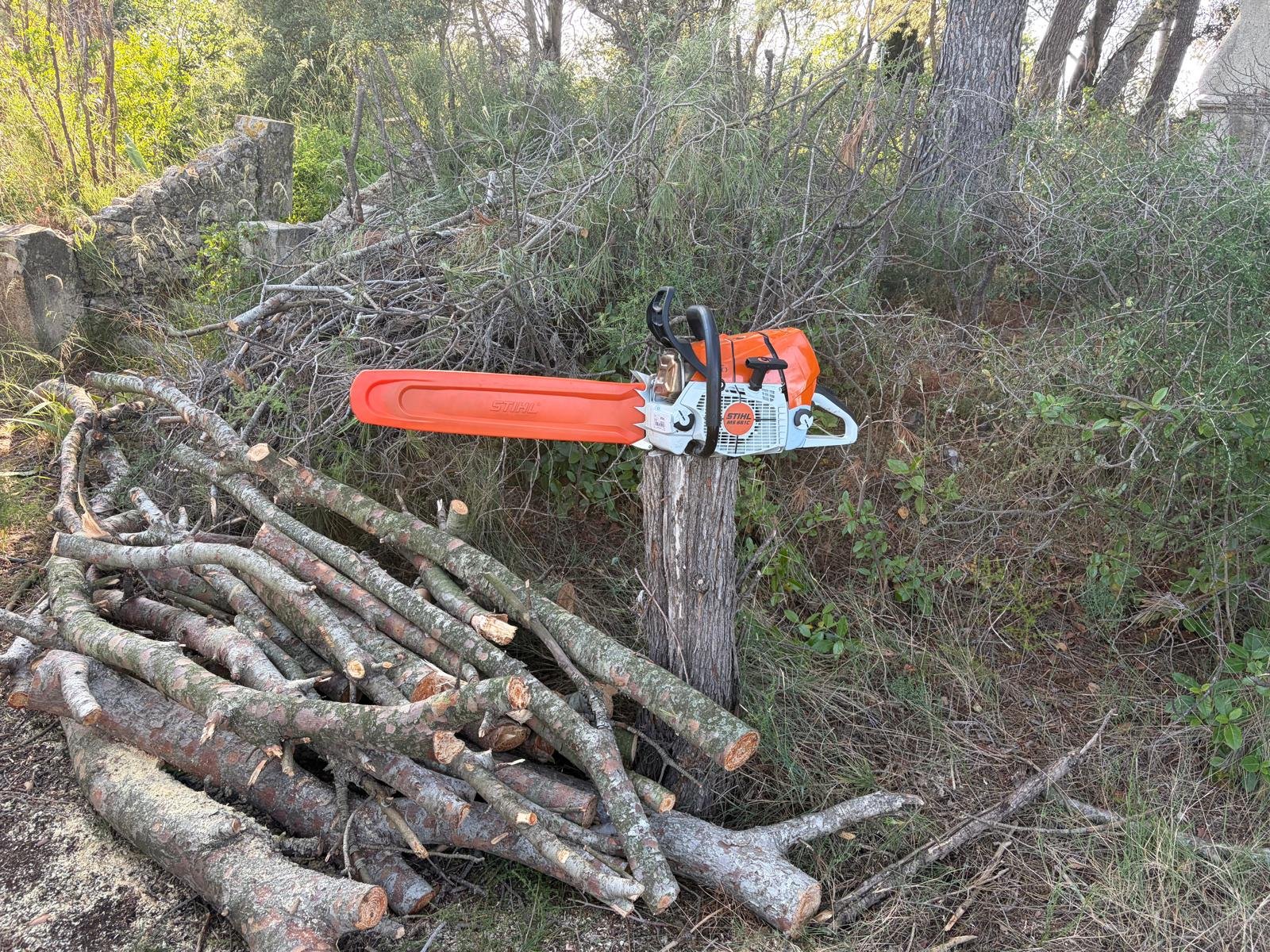 Tronçonneuse avec son protège-guide posée sur une souche près de branches coupées
