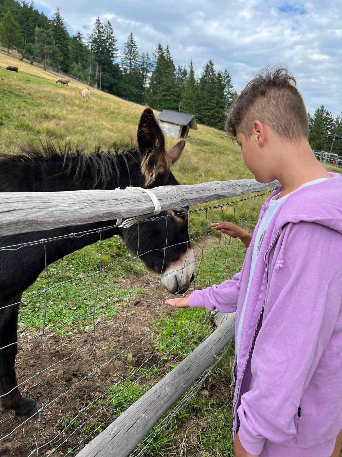 Summer Camp Merano - Foto 45