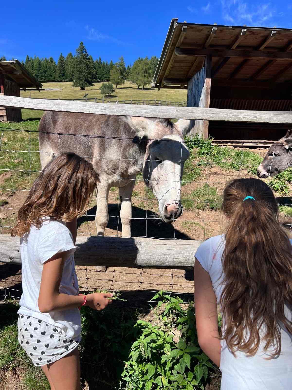 Summer Camp Merano - Foto 27