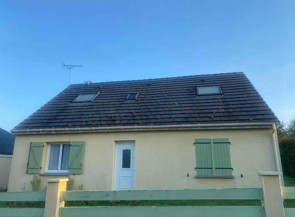 Avant travaux - Nettoyage de toiture