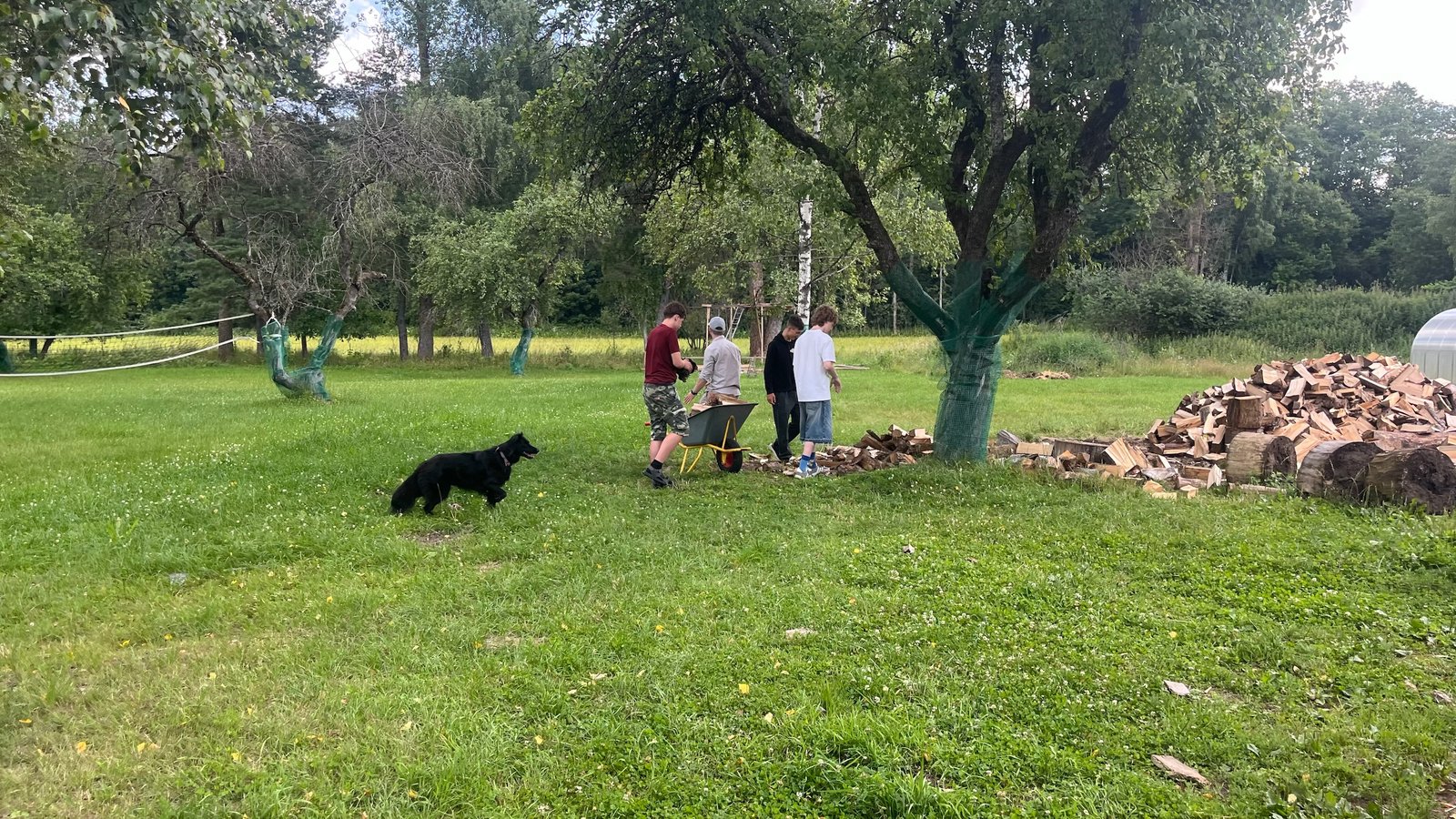 Žmogaus teisės psichikos sveikatos paslaugose