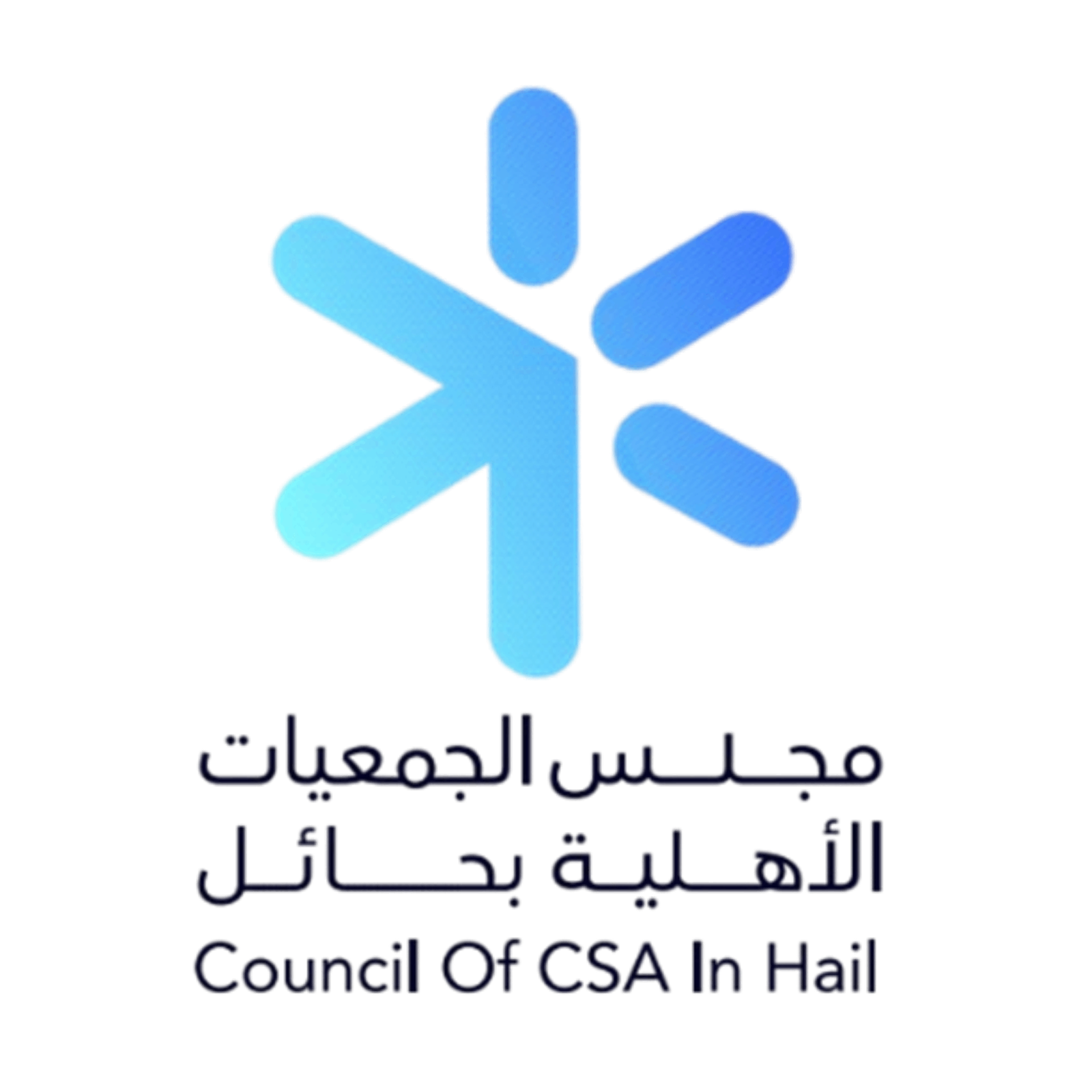 مجلس الجمعيات الأهلية بحائل