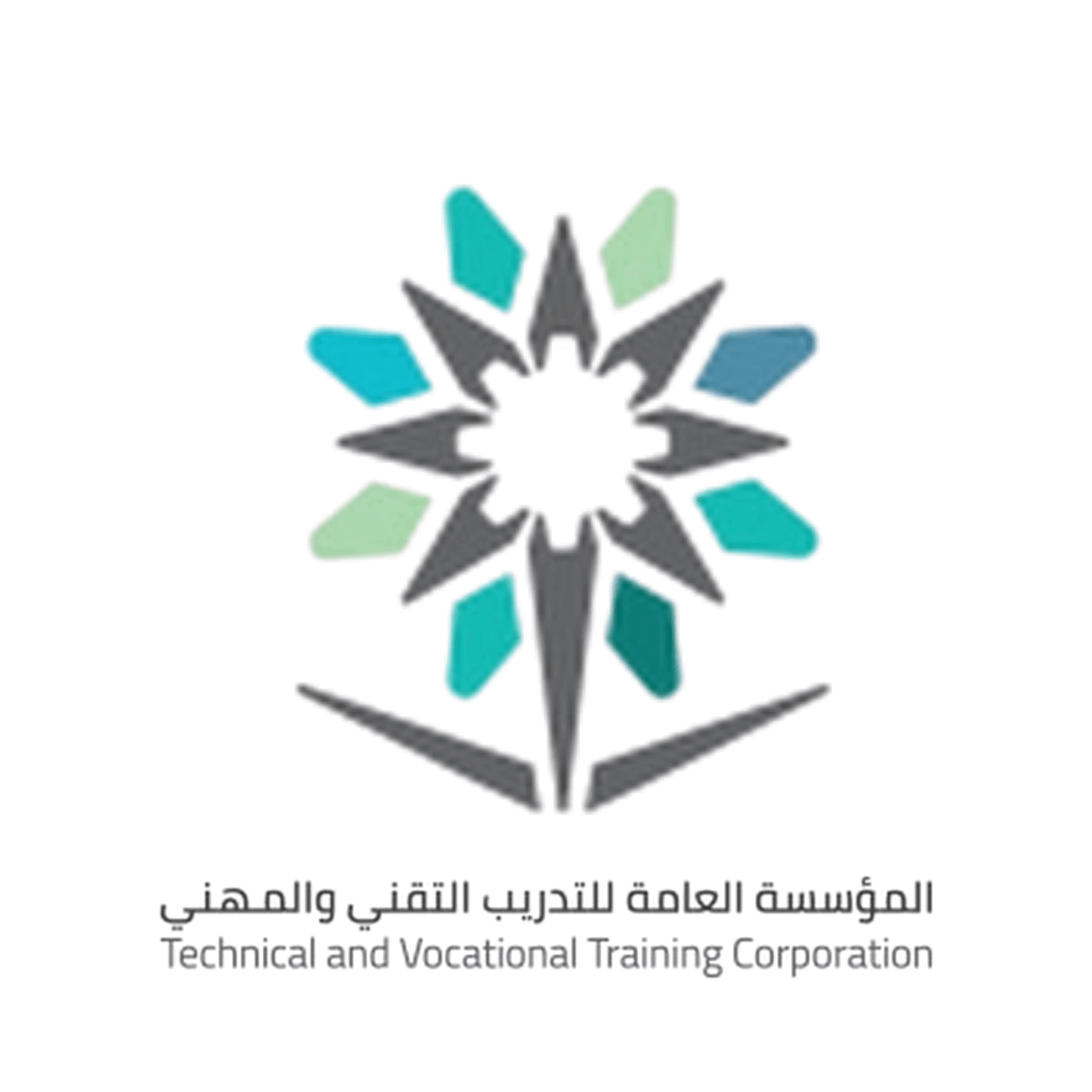 المؤسسة العامة للتدريب التقني والمهني