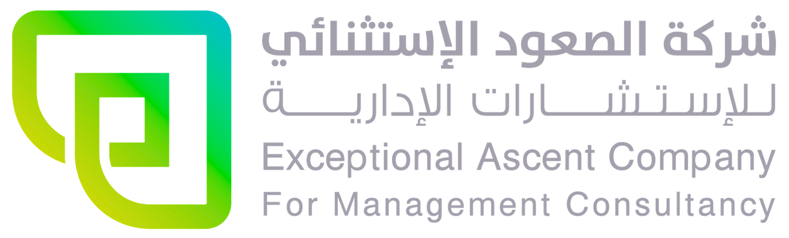شركة الصعود الاستثنائي للاستشارات الإدارية