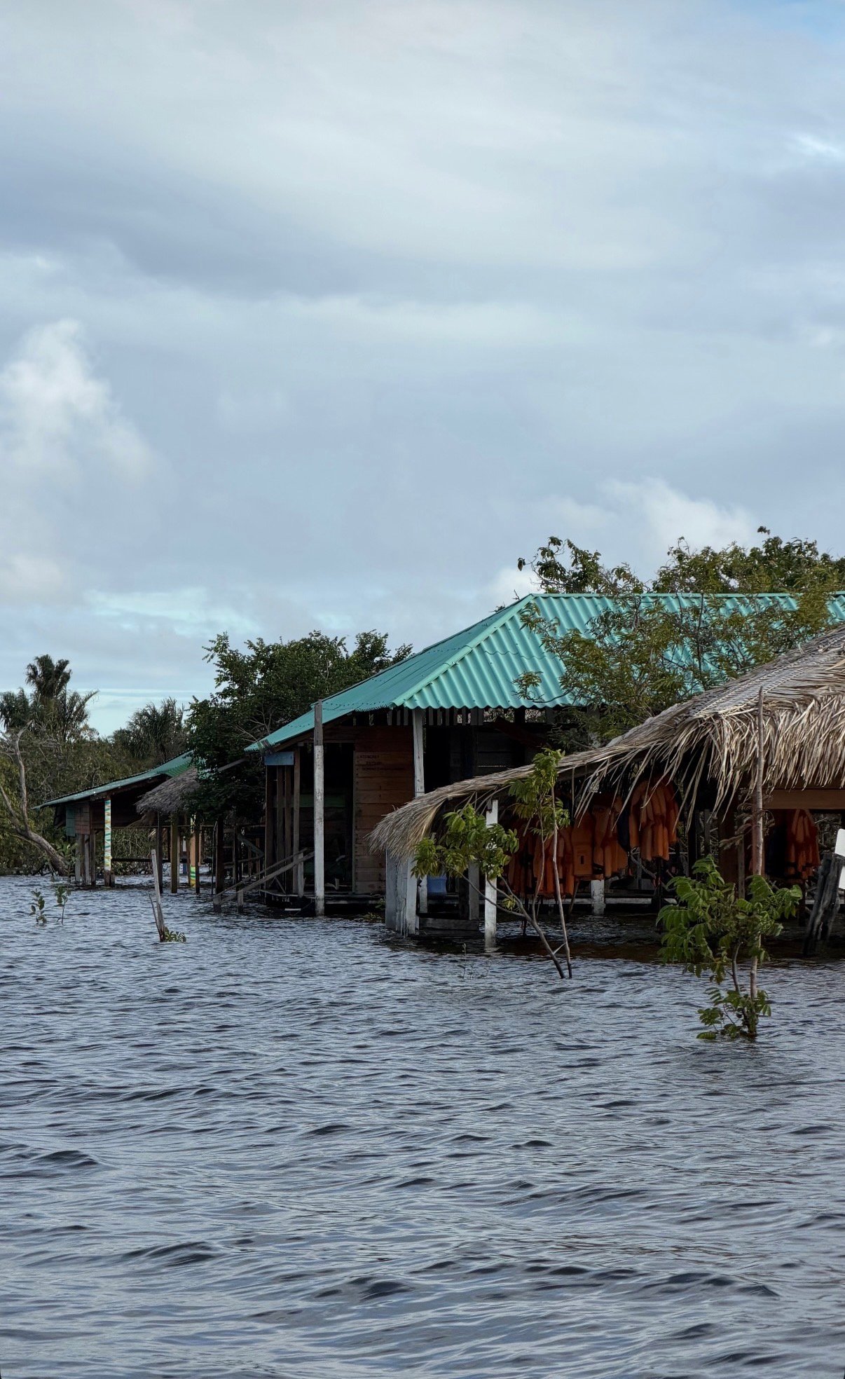 Houses on the water