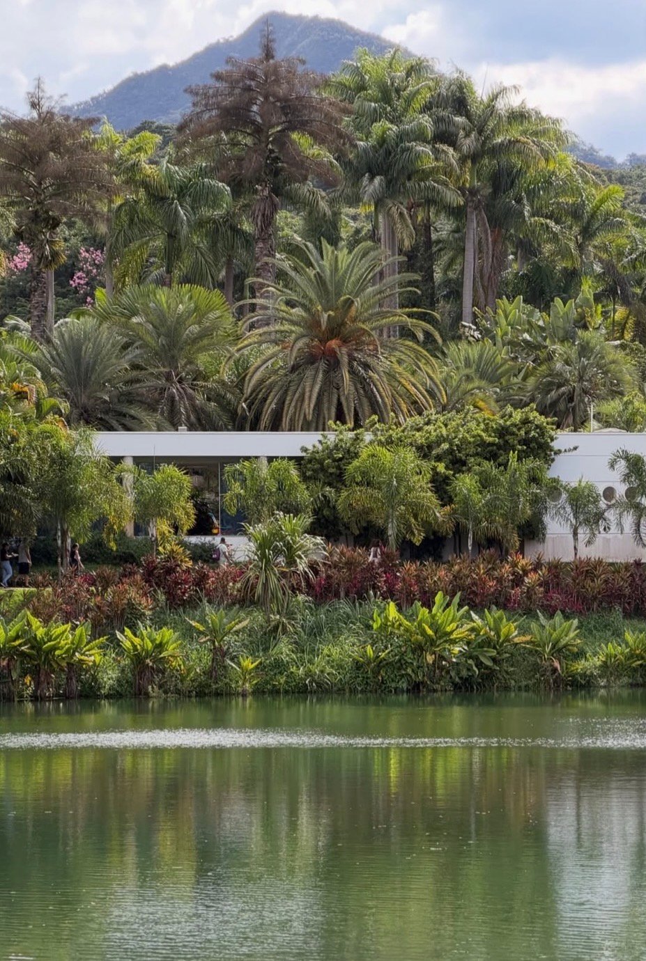 Modern architecture among palms and mountains