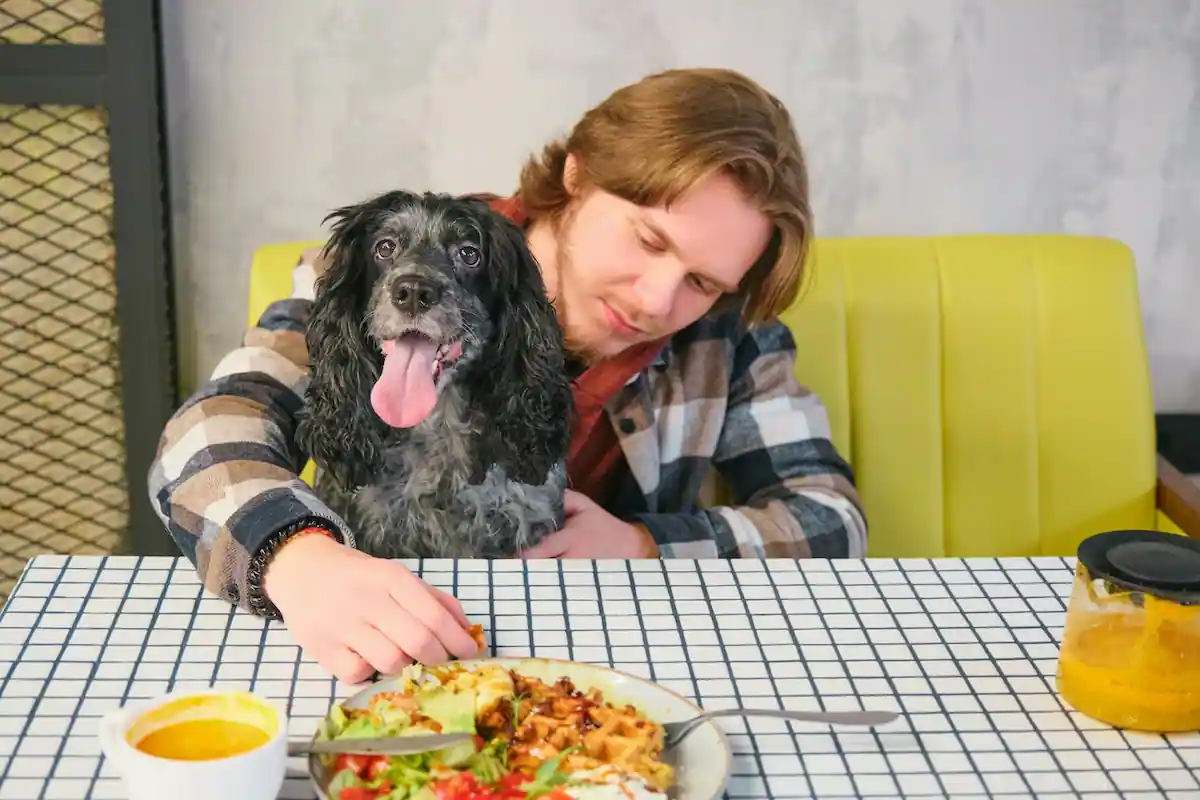 Woman with dog sitting on yellow couch at table with food, illustrating pet safety around meals
