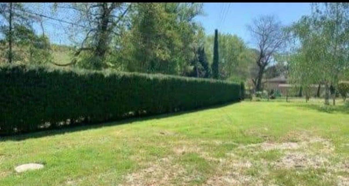 Jardin arboré avec une haie soigneusement taillée