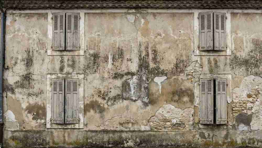 Façade dégradée et moisie avant rénovation