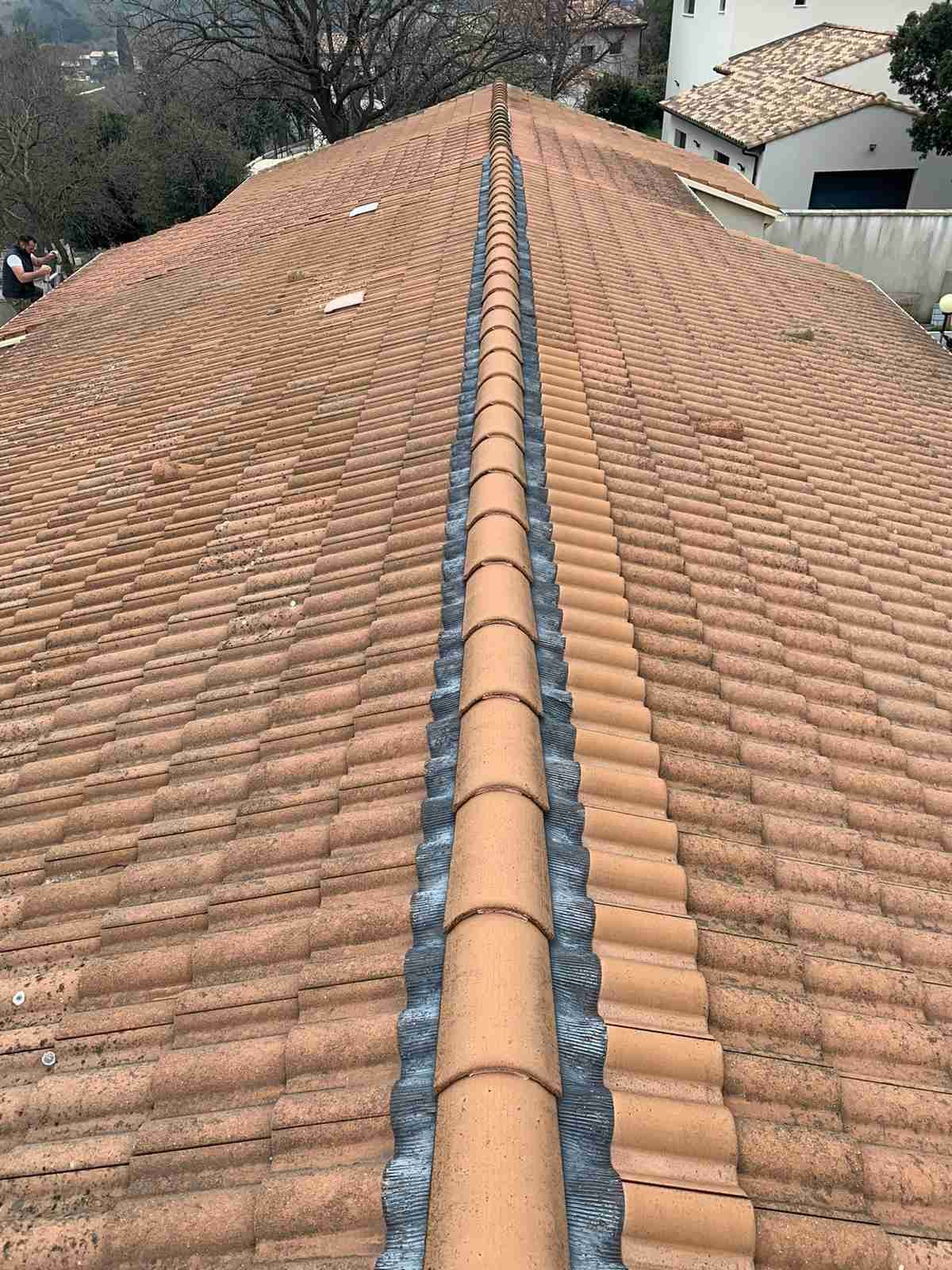Toiture avant nettoyage