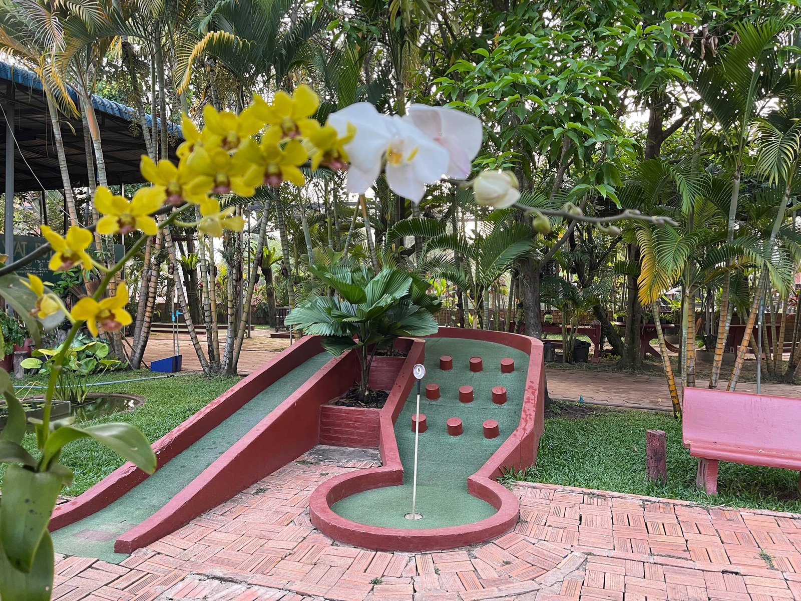 Mini golf hole with orchid decorations
