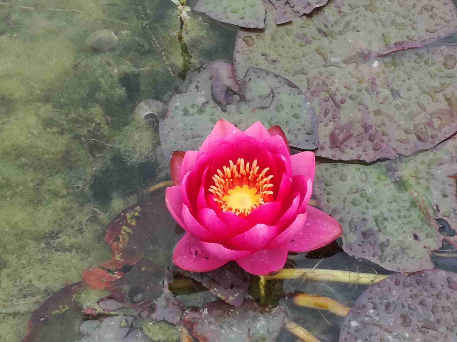 Meditatie- en ademhalingsoefening in een rustige omgeving