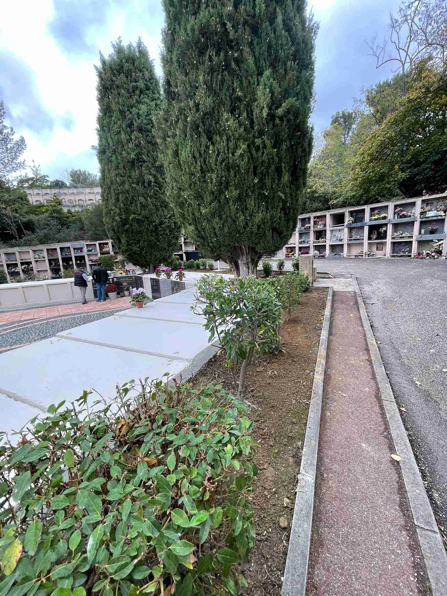 Rénovation cimetière - allées restaurées avec aménagement paysager frais, plantes vertes, cyprès et zones commémoratives