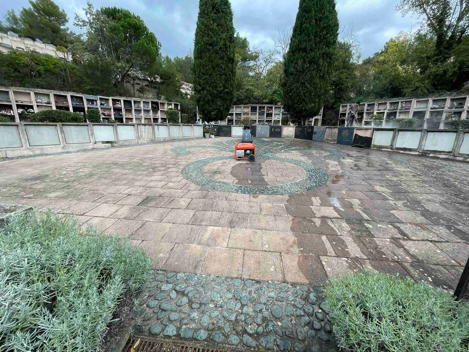 Rénovation cimetière - allées avec nouvel aménagement paysager, végétation verte, surfaces restaurées et cyprès