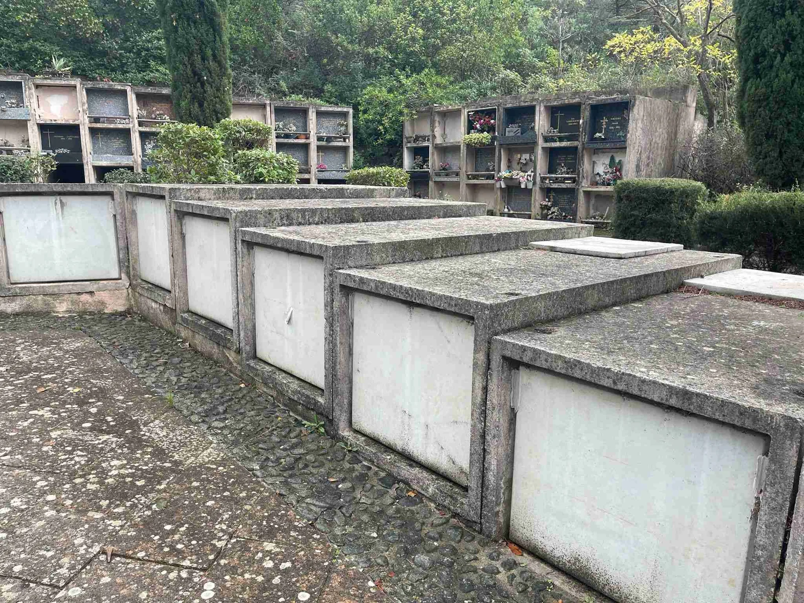 Rénovation cimetière - allées restaurées avec nouveau pavage, plantes vertes, cyprès et monuments commémoratifs
