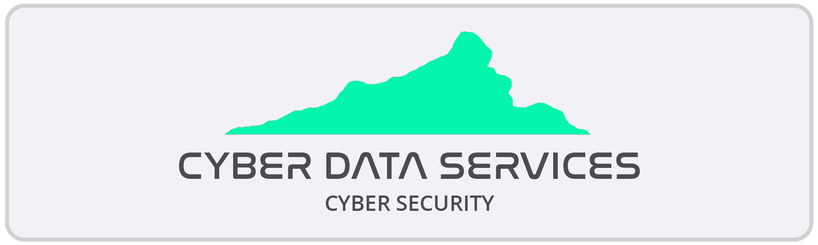 Cyber Data Services