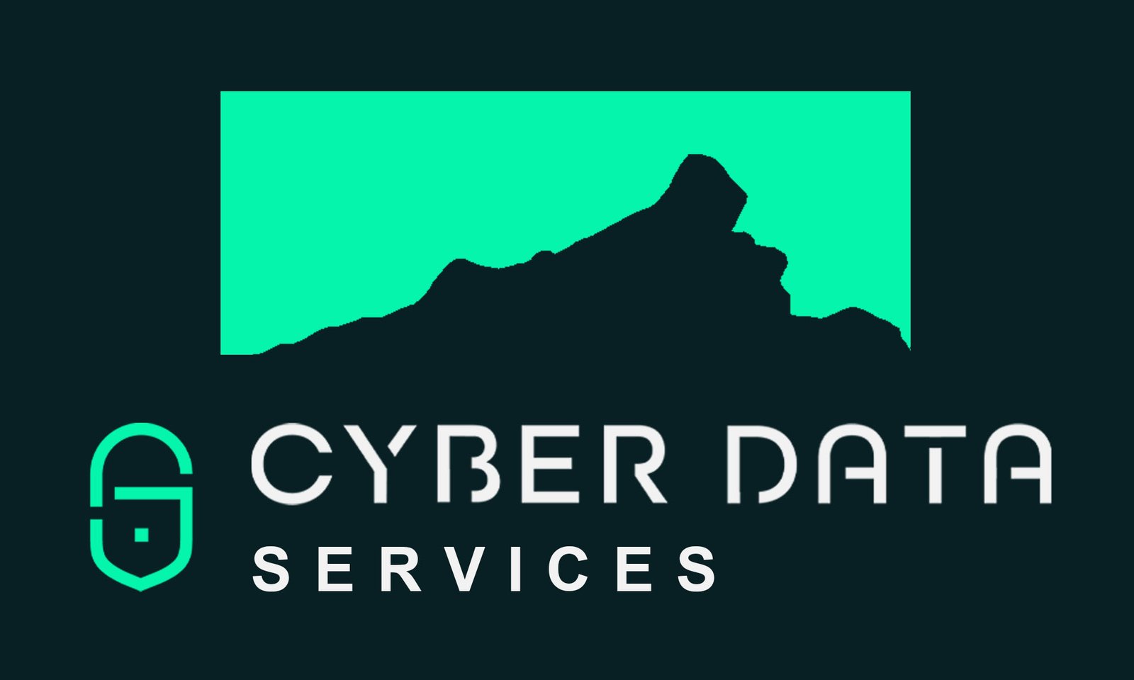 Cyber Data Services logo