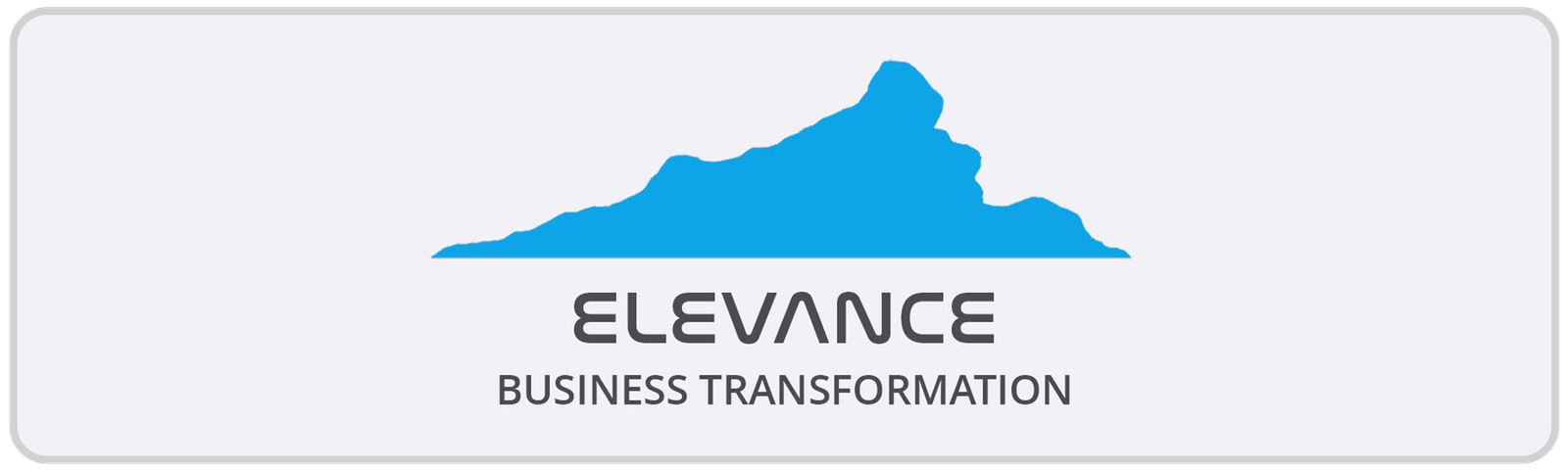 Elevance Business Transformation