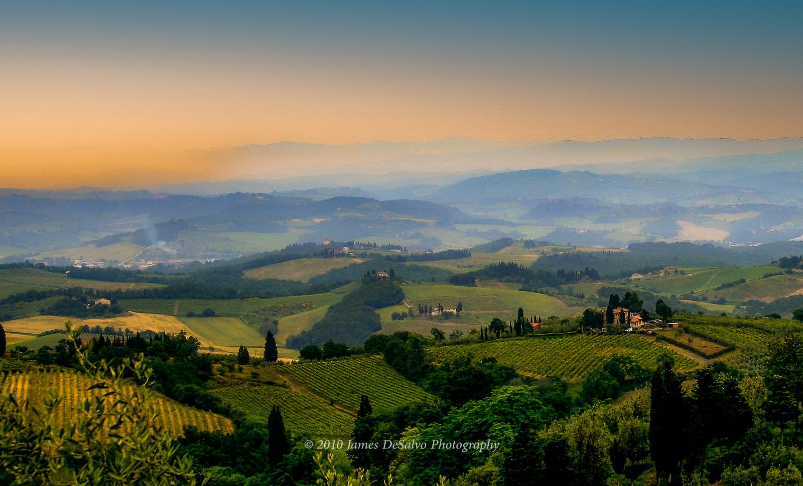 Cypress-lined road through rolling Tuscan fields at first light