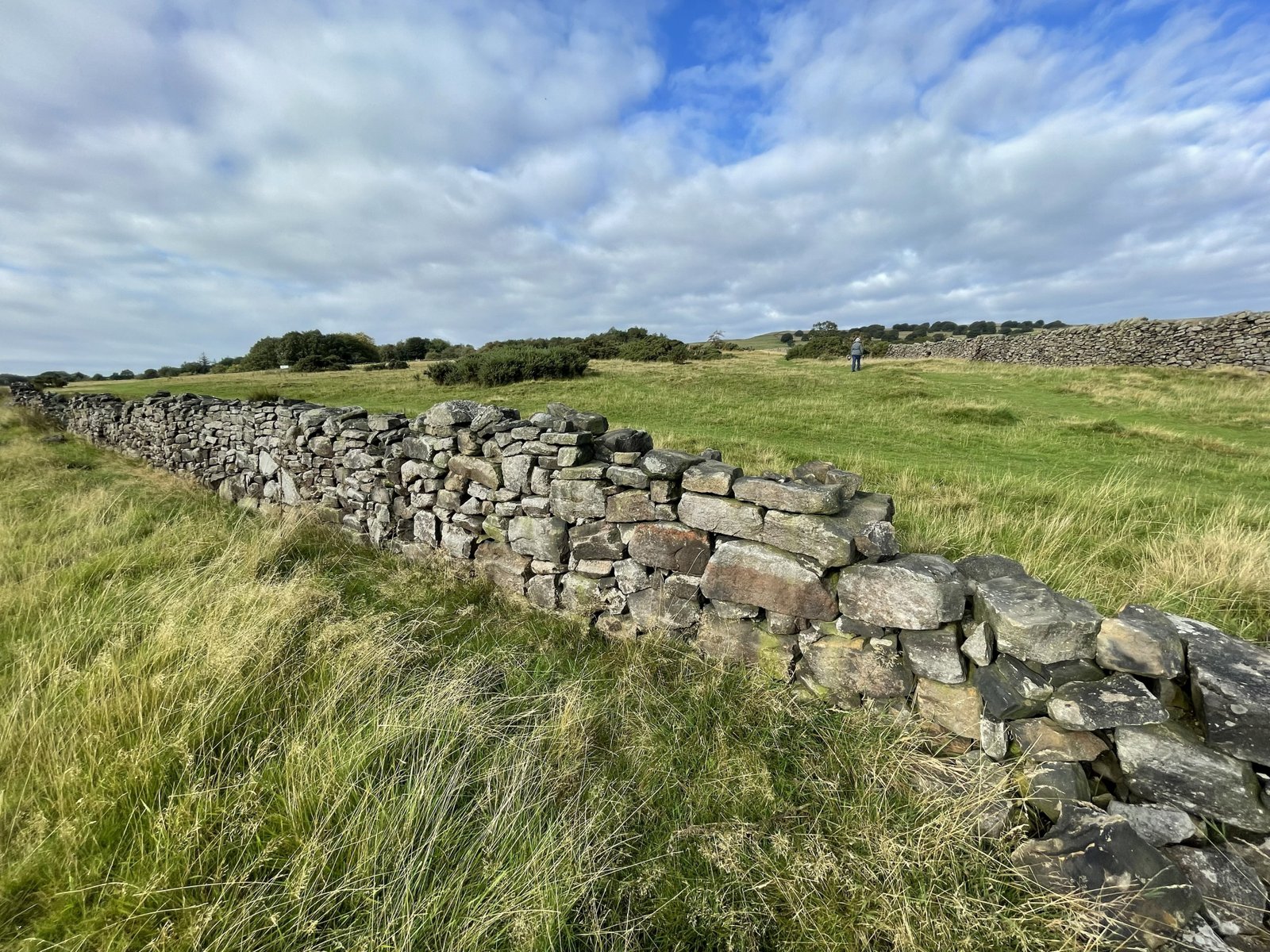 Dry-stone wall crossing open grassland in the Peak District