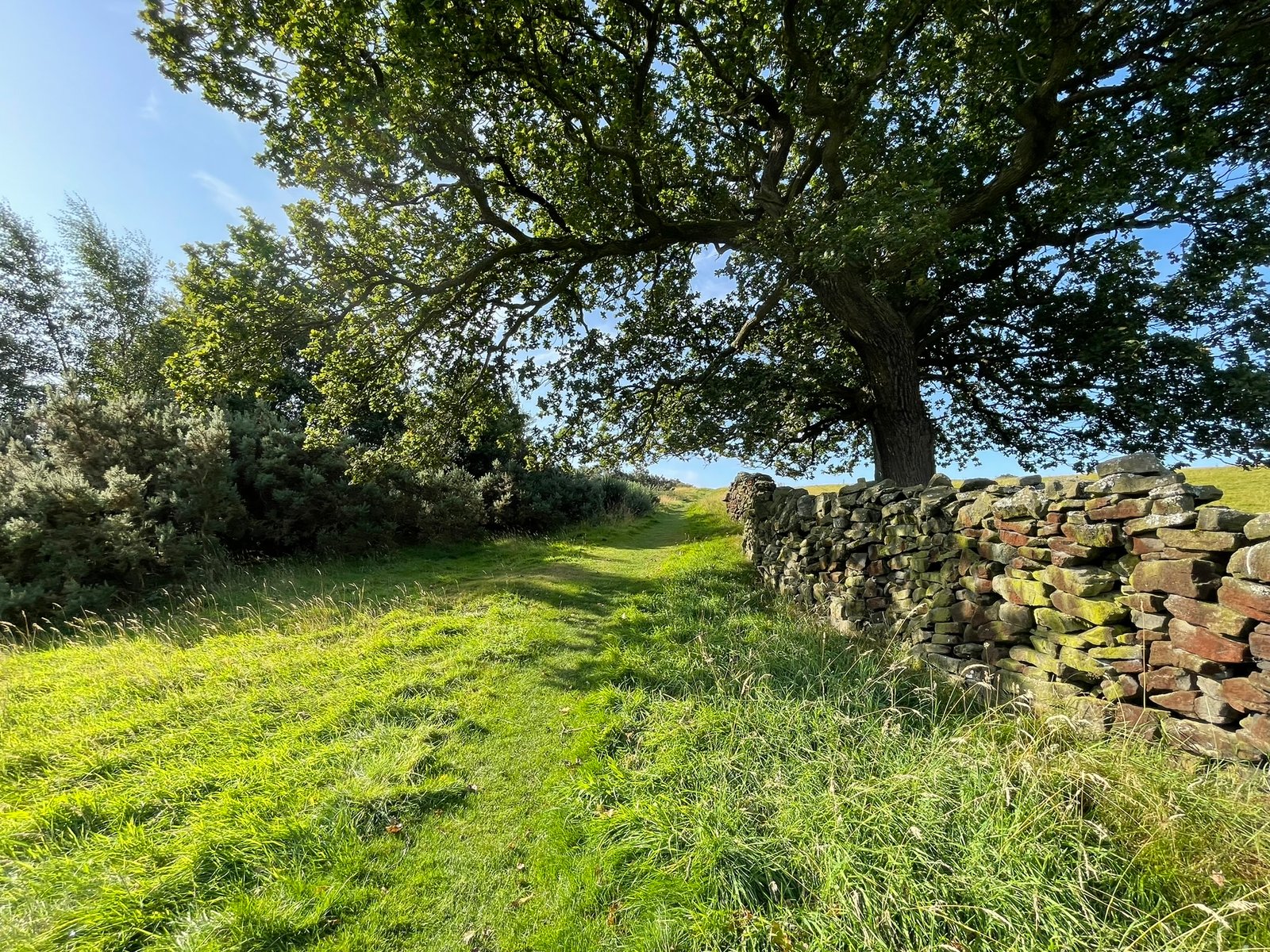 Landscape overlooking Whaley Bridge — moorland fringe, farmland and hills the proposed pipeline corridor would cross