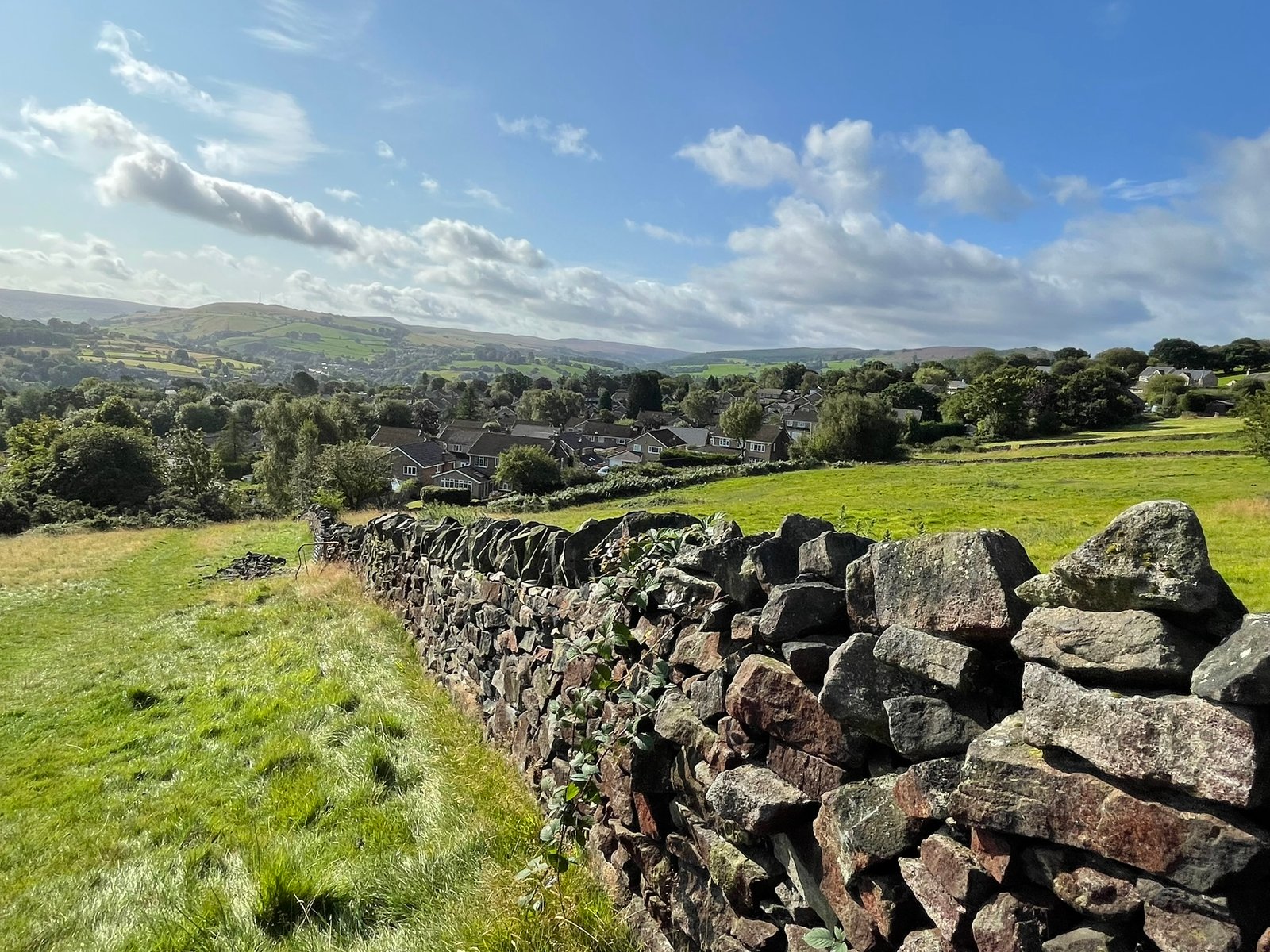 Unimproved acid grassland, rush pasture and gorse scrub mosaic within the proposed corridor