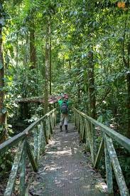 Carara National Park Tour near Jaco