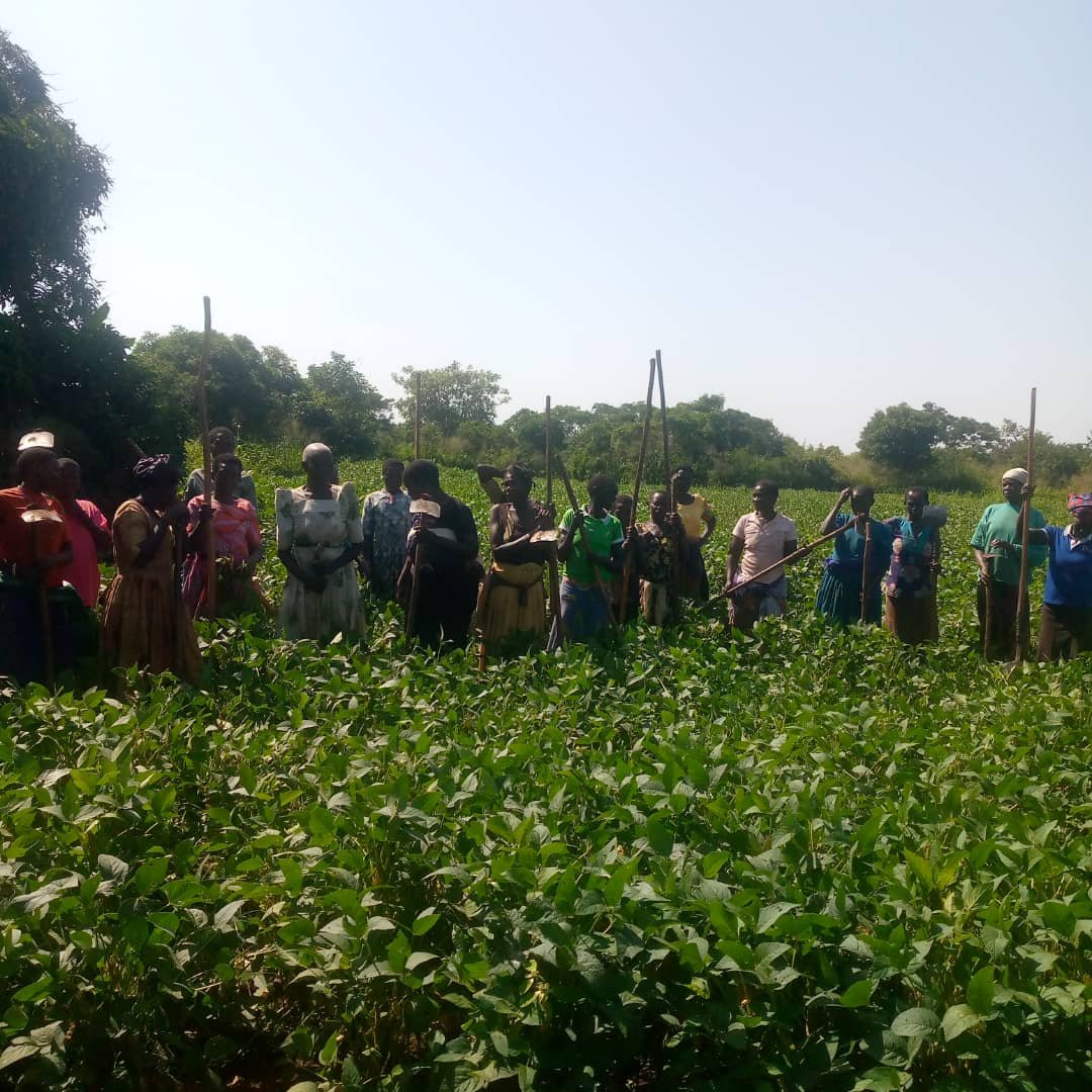 Community women farming after an empowerment distribution event