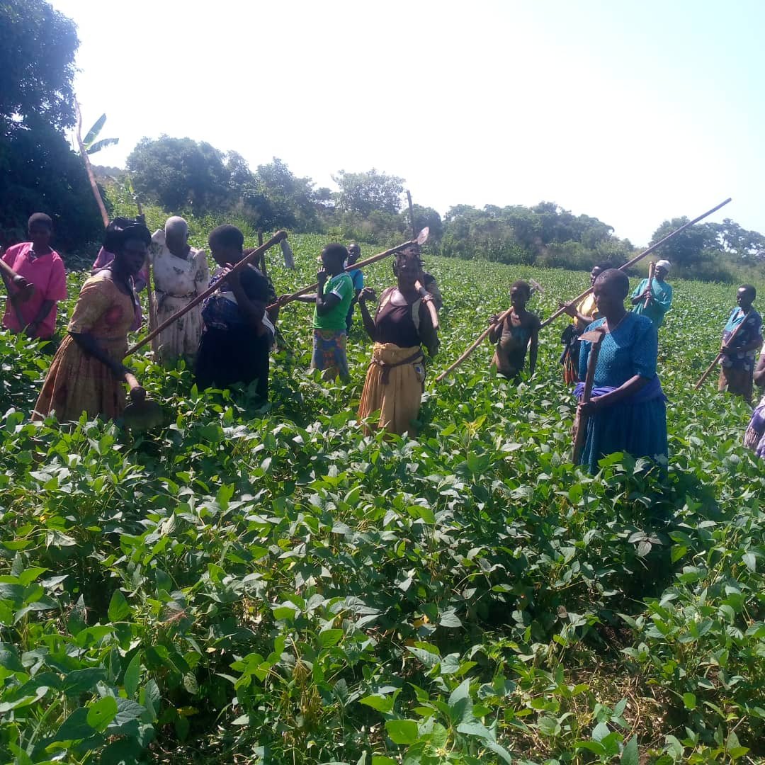 Women working in a green field with farming tools during a community empowerment activity