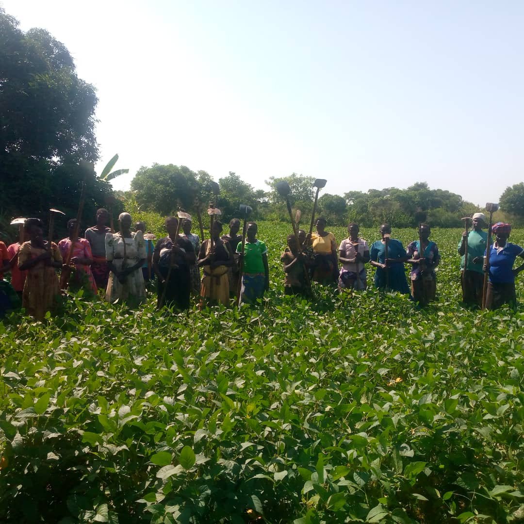Women standing in a cultivated field holding farming tools