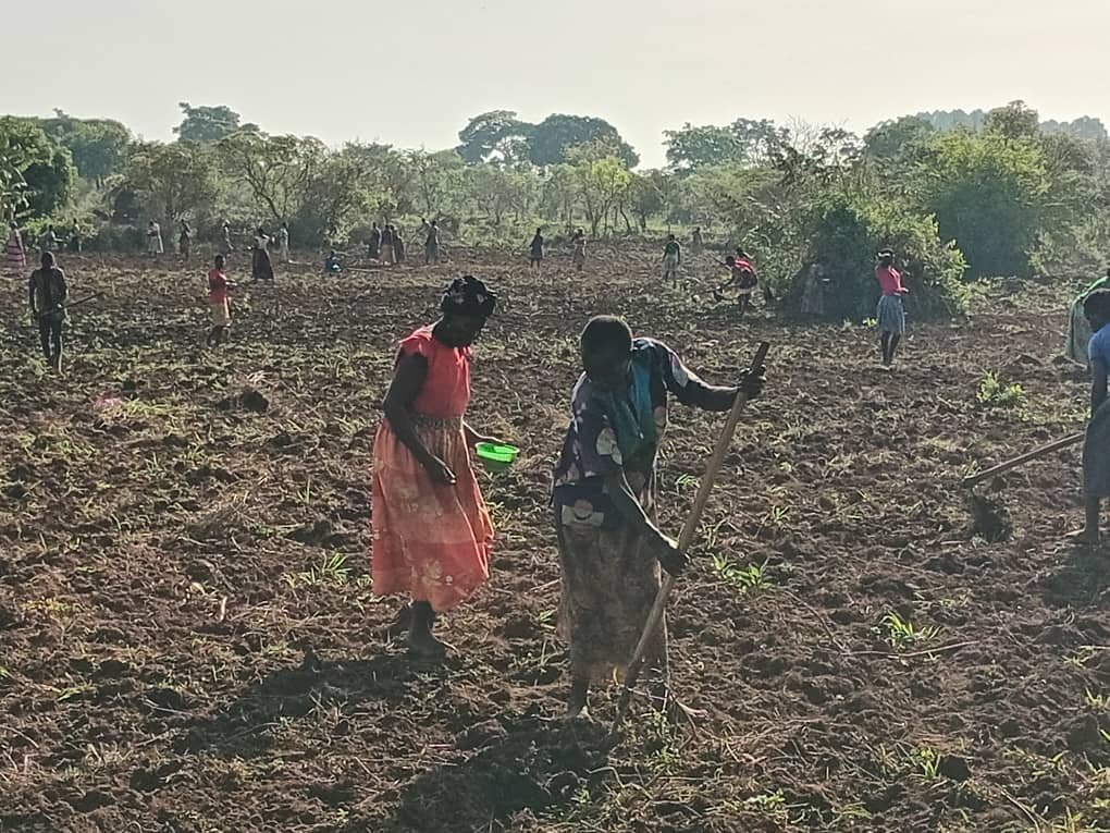 Women working together in a field during a farm tools distribution