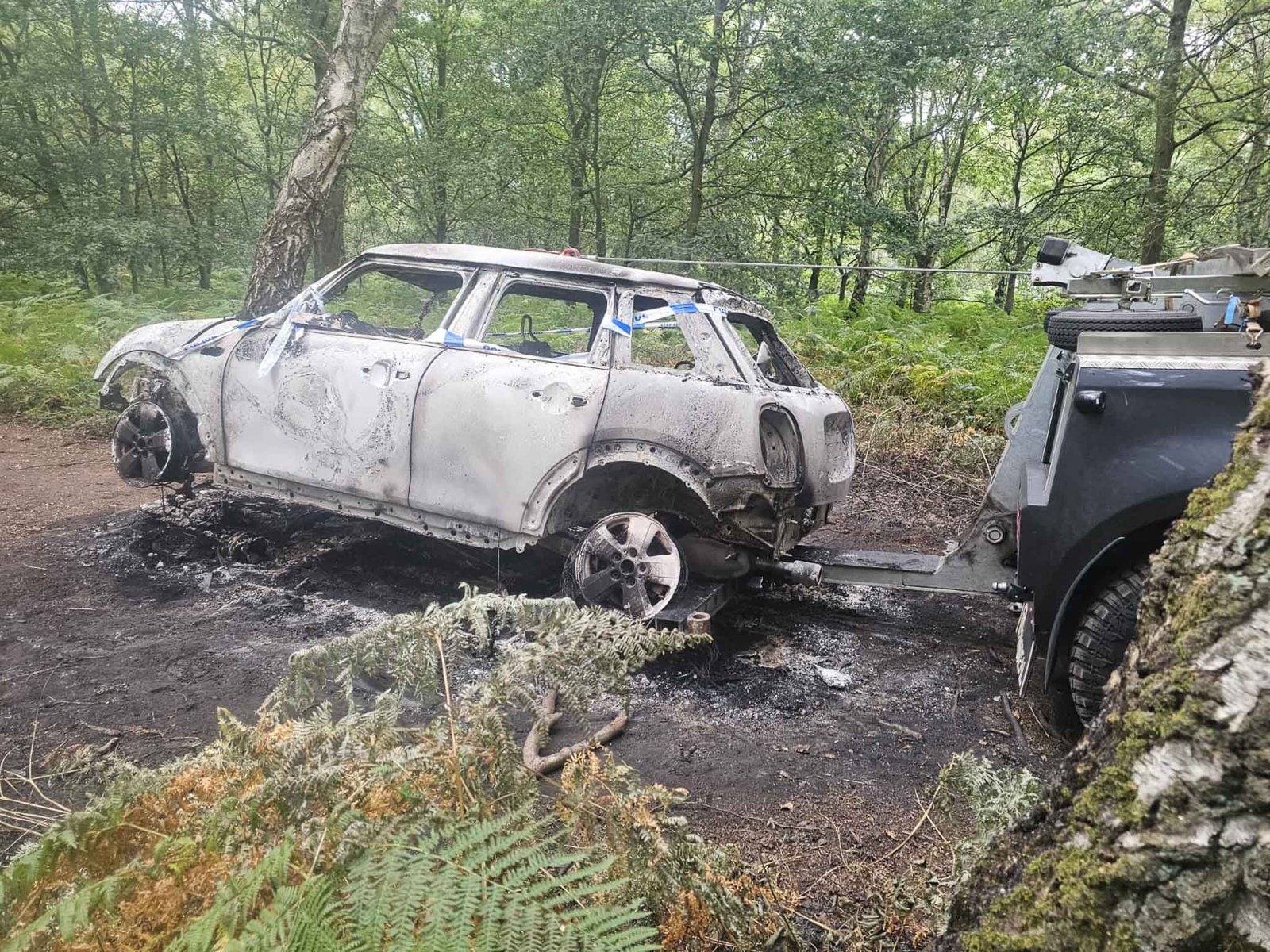 BasReal equipment in action