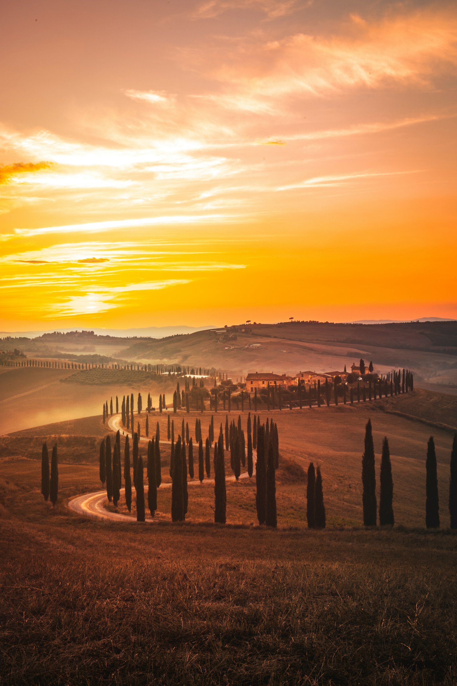 Tuscan Vineyard Estate