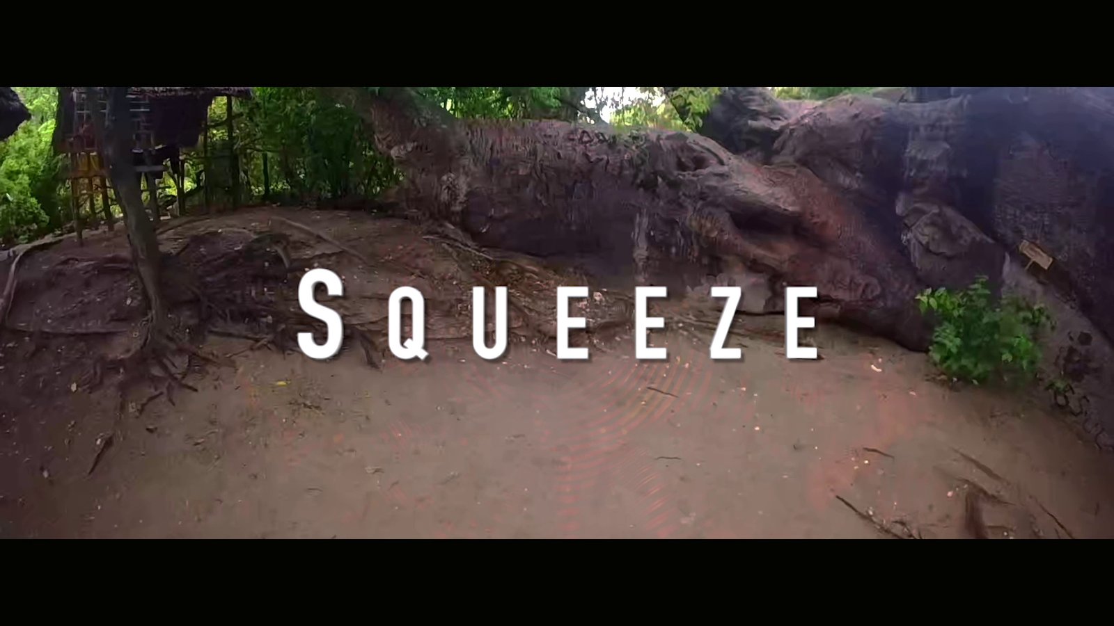 Squeeze Lyric Video