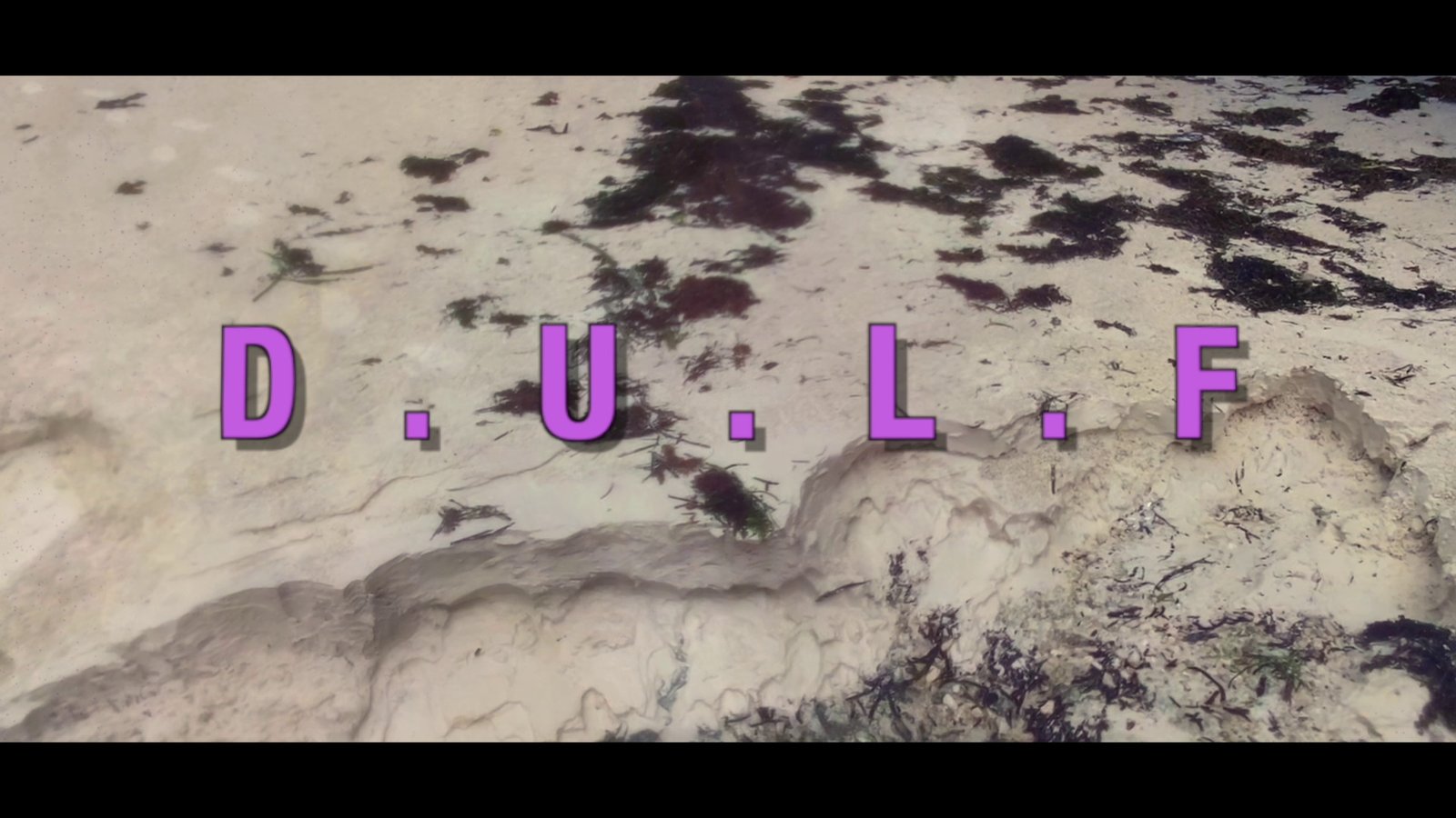 D.U.L.F. Lyric Video