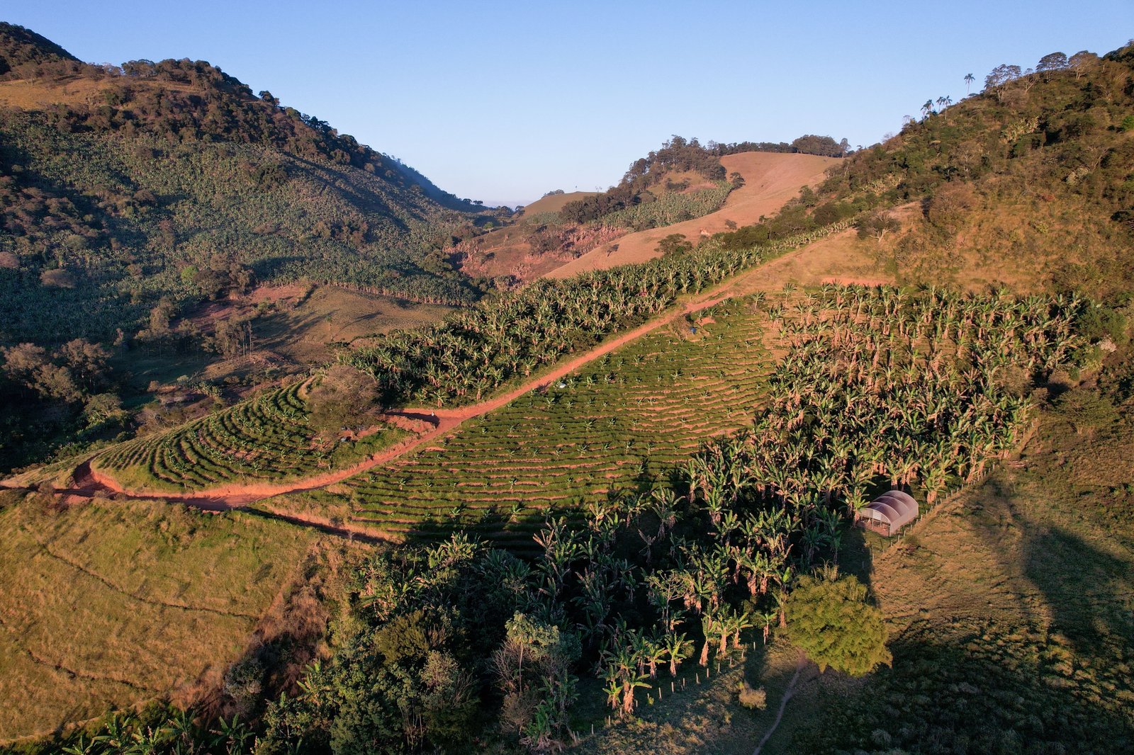 Terroir Mantiqueira & Rastreabilidade: A Ciência da Origem