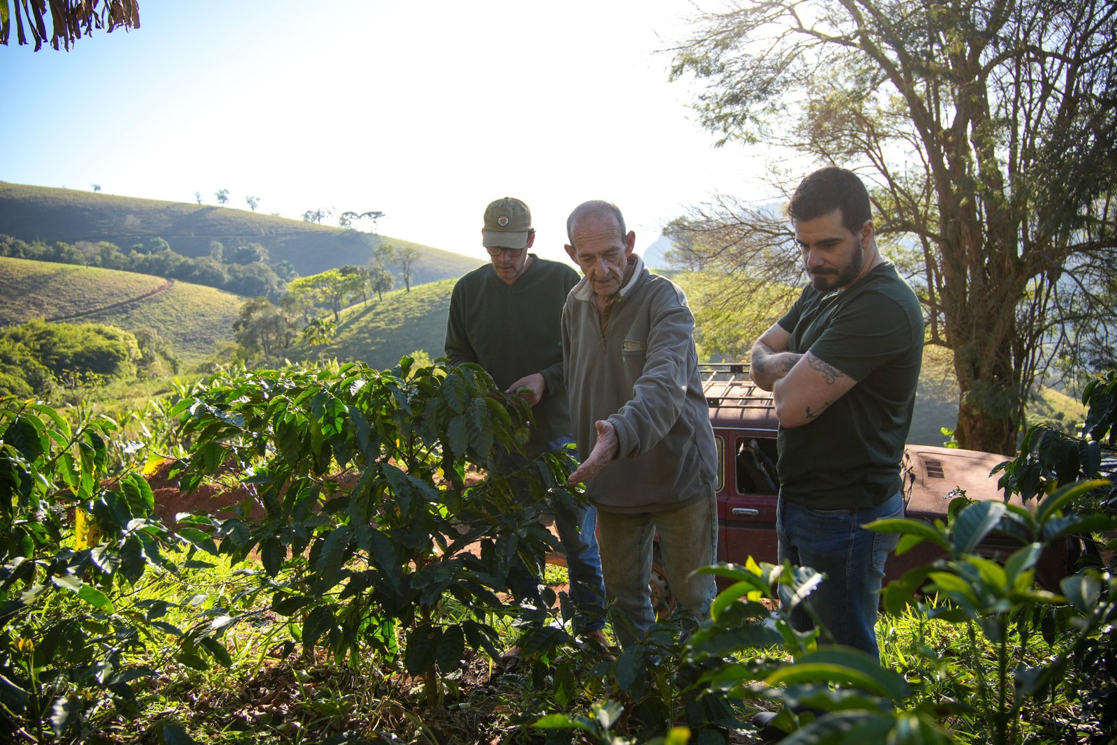 Três gerações da família observam um pé de café na encosta