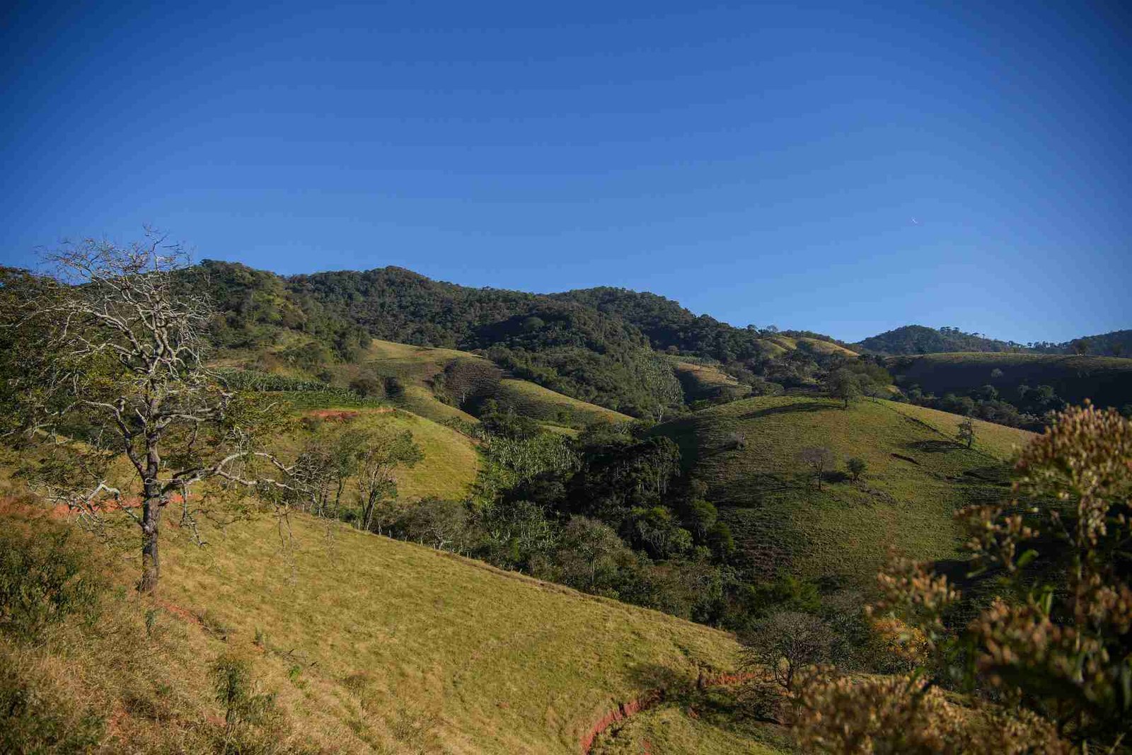 Pasto de estação seca e morros ainda verdes