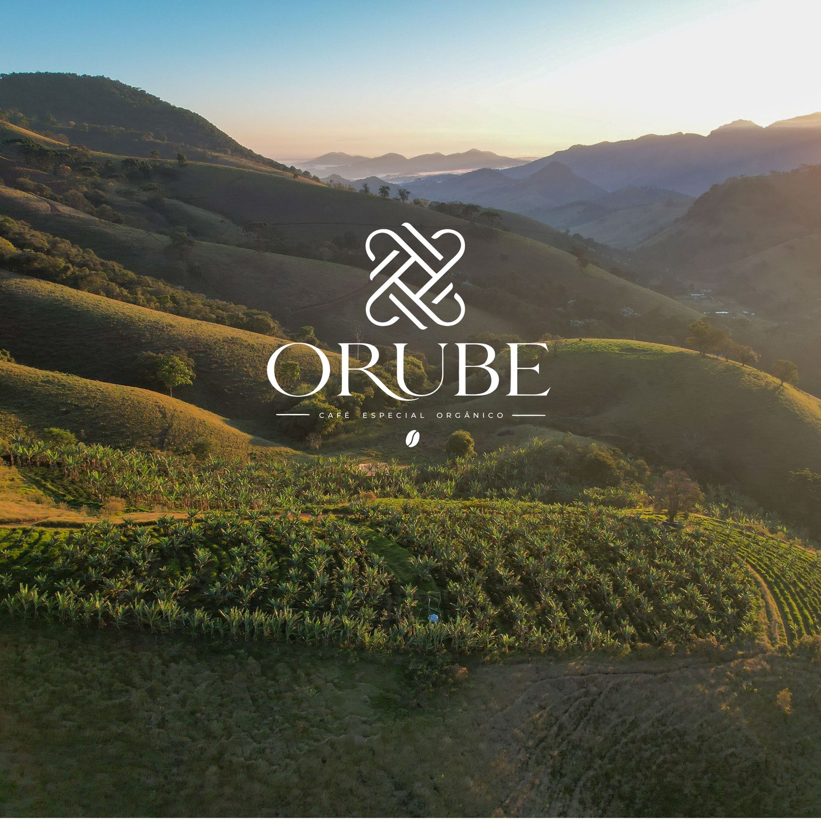 Cafezal do Sítio Orube nas montanhas da Mantiqueira de Minas