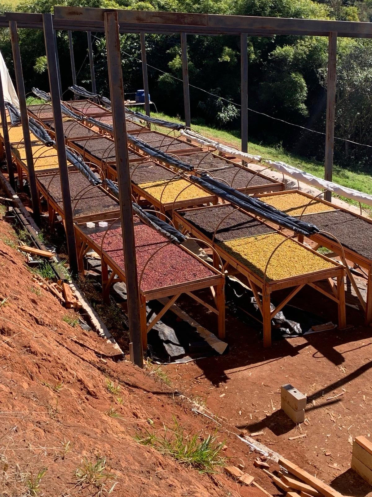 Terreiros suspensos de secagem cobertos por telas na encosta do sítio