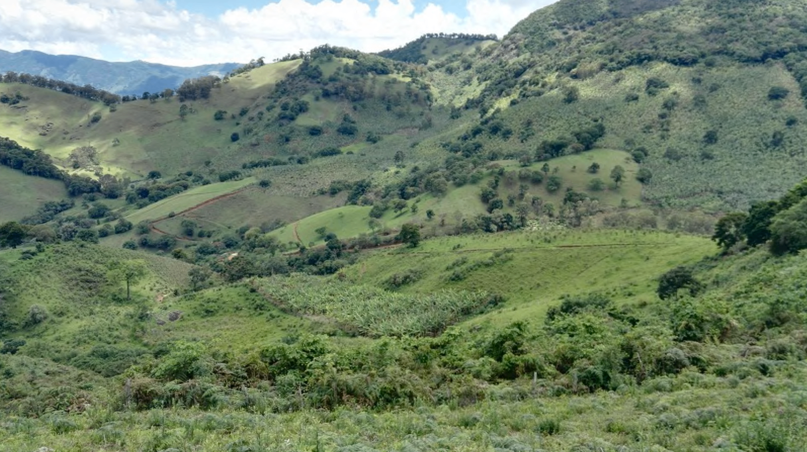 Encostas verdes com pasto, mata e curvas de nível
