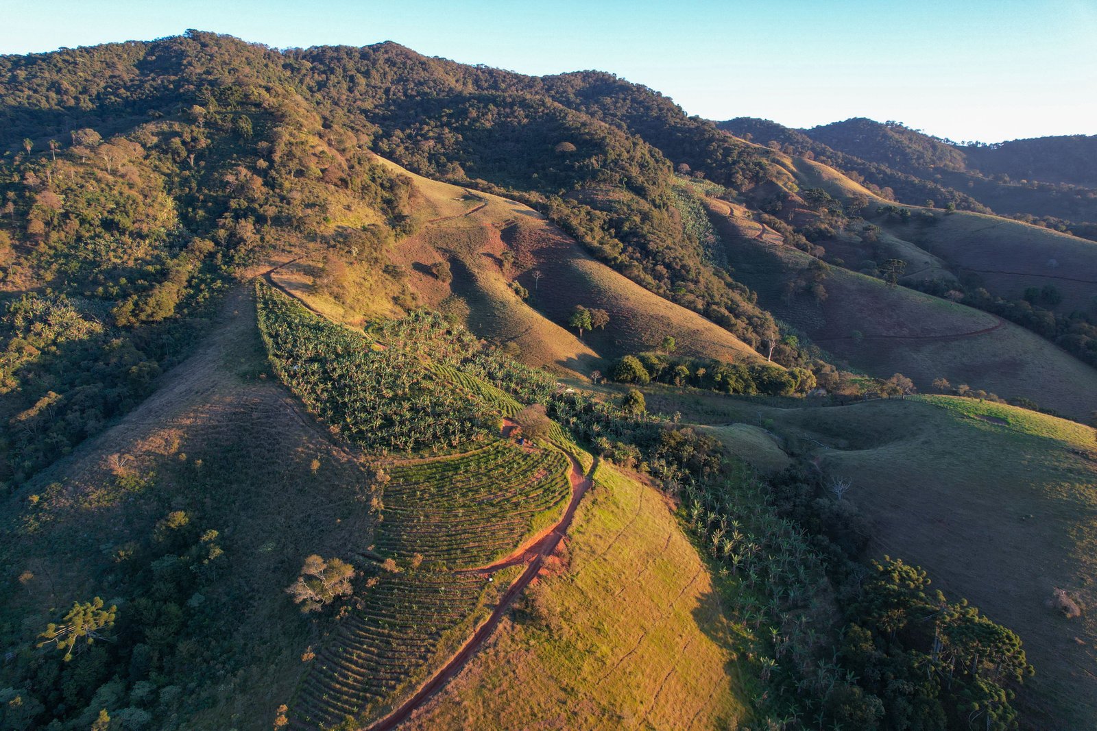O Microclima de Brazópolis: Dados Climáticos e Regime de Chuvas
