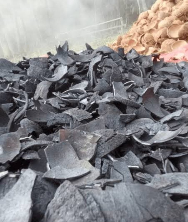Charcoal yard & shell feedstock