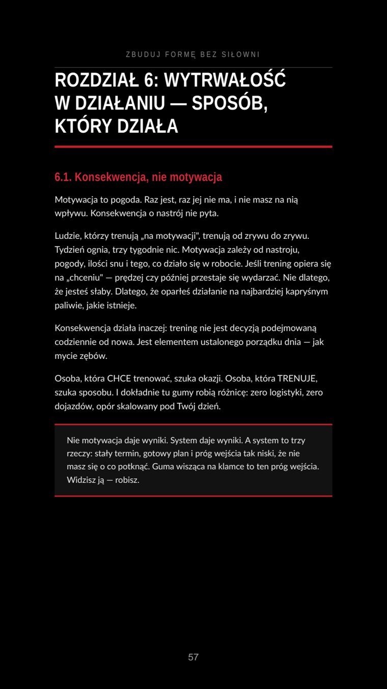 Rozdział 6 — Wytrwałość w działaniu