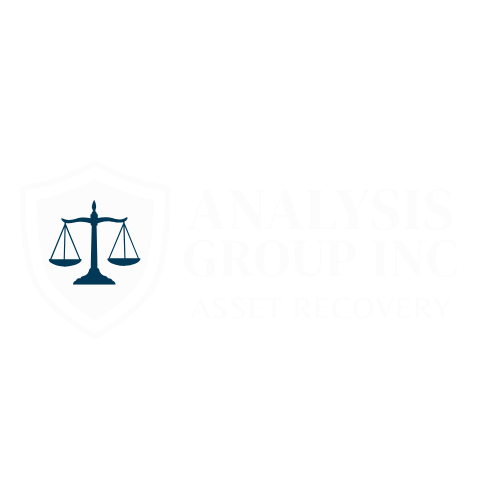 Analysis Group Inc International Law Firm