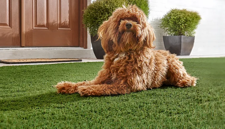 Residential Turf Care